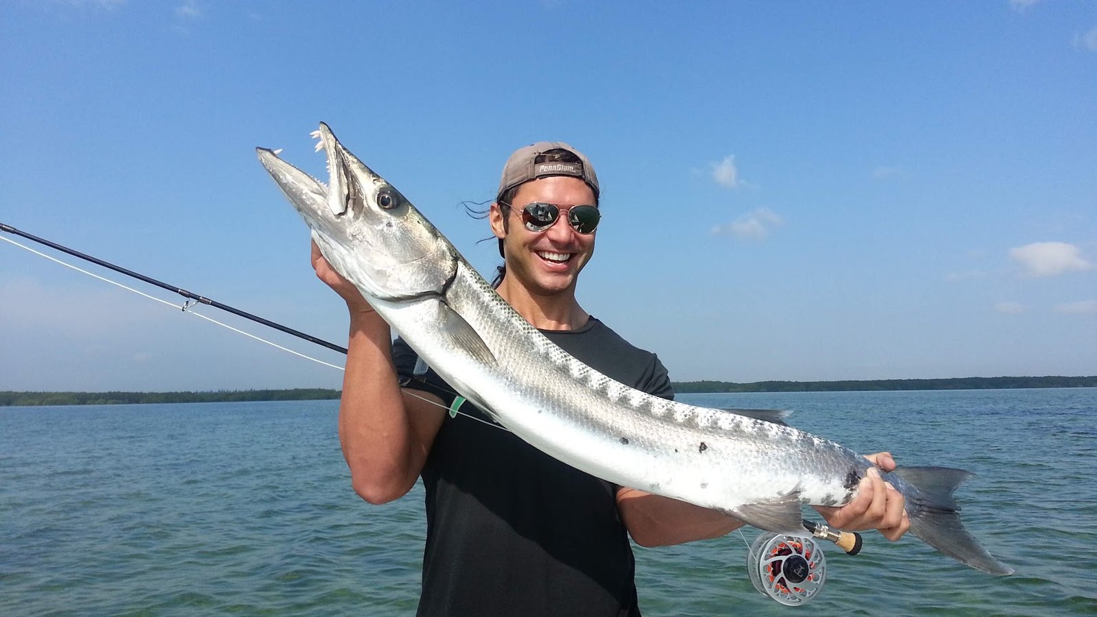 Barracuda caught on light tackle in Biscayne Bay