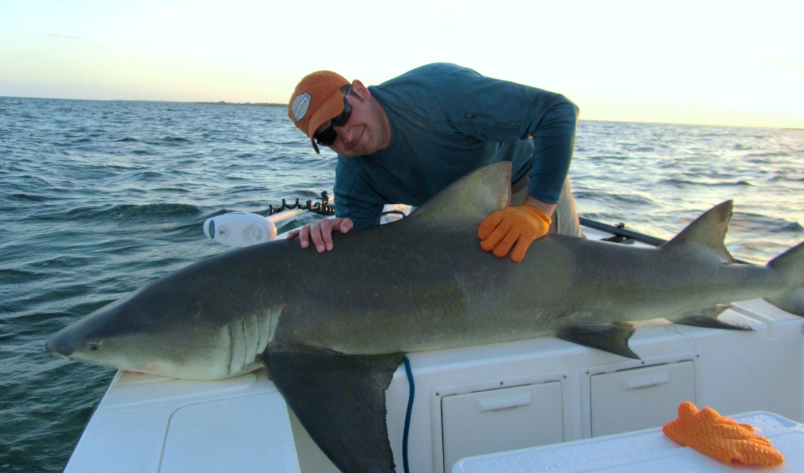 Shark fishing on the flats of Miami