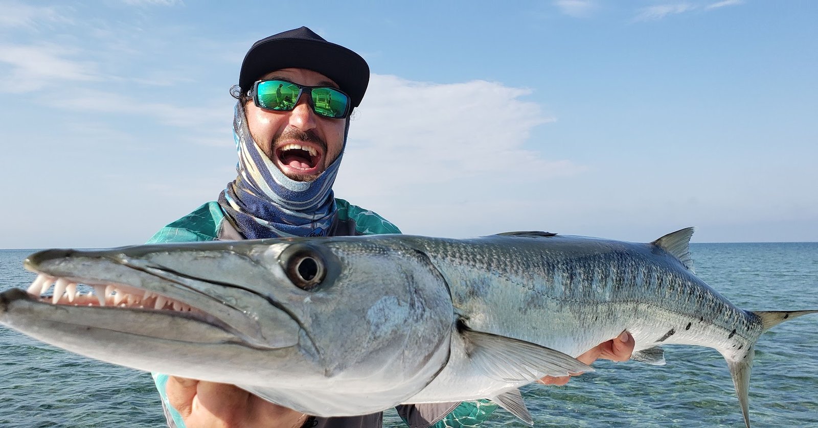 Barracuda sight casting on clear Miami flats